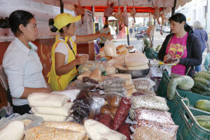 Comienza hoy la feria del Indert en su edición de fin de año