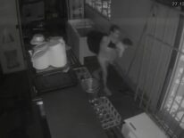 Identificada y detenida por robo a Jardín de los Pollos