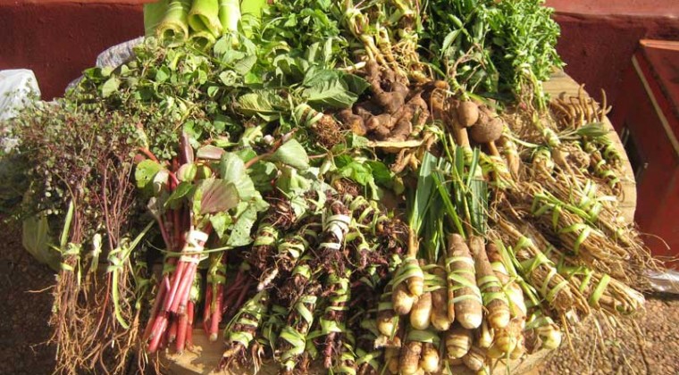 Tratarán de salvar de impuesto a los “yuyos”