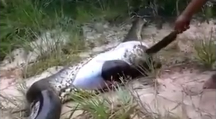 Condenan a colombiano por trata de personas