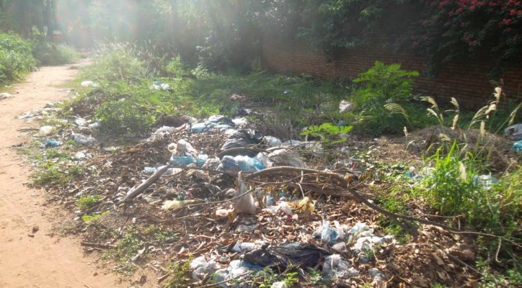 Entes estatales se unen para controlar terrenos baldíos