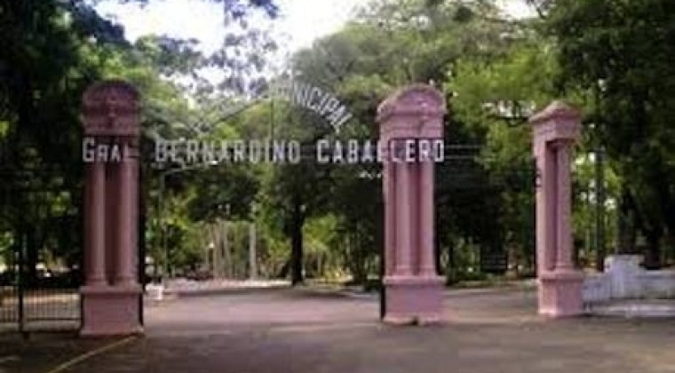 Pelea entre olimpistas y cerristas dejó un herido