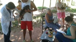 Inmunizan a 8.500 mascotas en Misiones