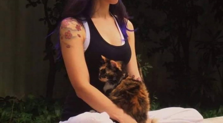 Invitan a participar de una clase de yoga con gatos