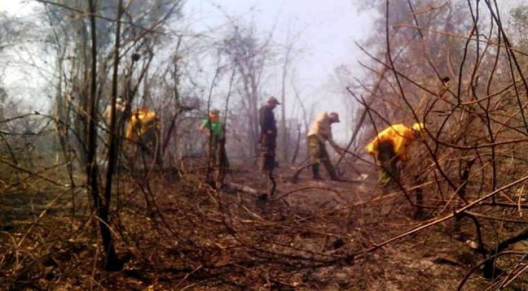 Deforestadores del Ybytyryzú: motosierras no paran