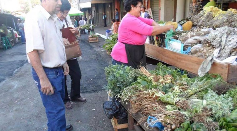 Tereré 2.0: Aplicación para ubicar yuyos, donde sea que estés