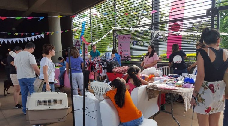 Invitan a Feria de Pulgas y pintata de mascotas a beneficio