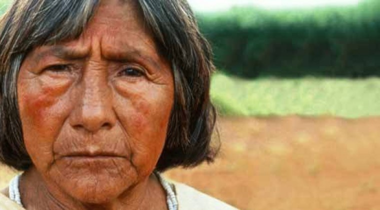 Ley de Lenguas se hace trilingüe tras incorporación del nivaclé