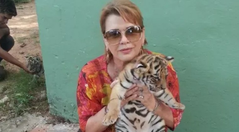 Estafada (US$ 5 millones) por esposa y suegra de políticos demanda a banco