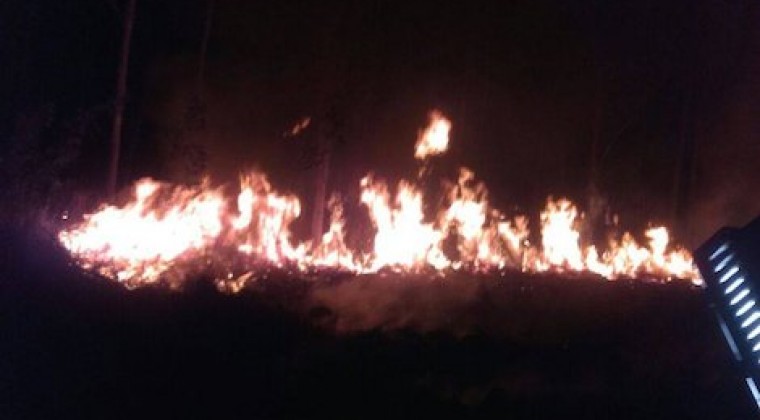 Culpan a cazadores de apere’a de incendio en Ypacaraí