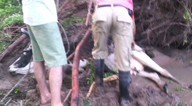 Intensa granizada causa destrozos en Humaitá