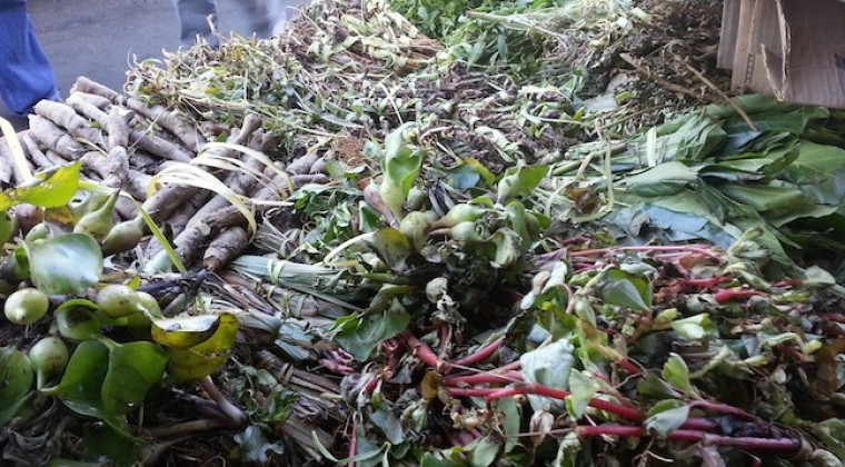 Kit yorador y rituales de fin de año en el Mercado 4