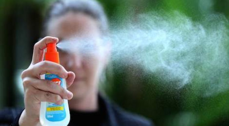 Dengue en carnavales: Salud insta usar repelente