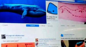 Peligro en las redes: ¿En qué consiste “La ballena azul”?