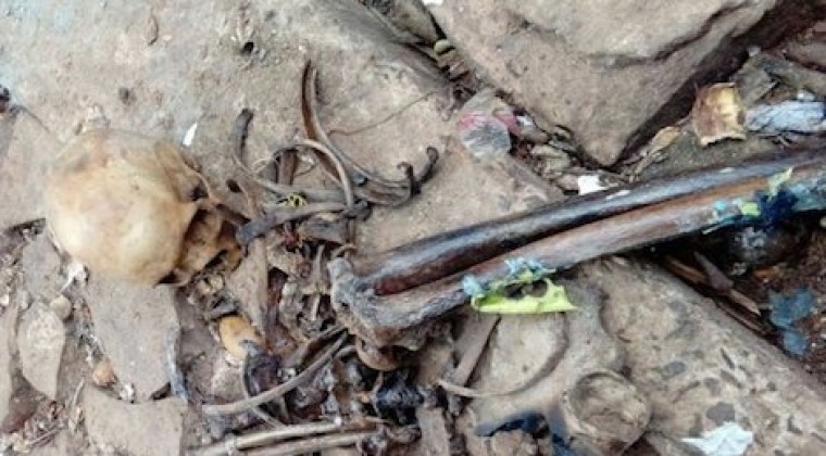 Hallan cráneo y varios restos óseos en un baldío