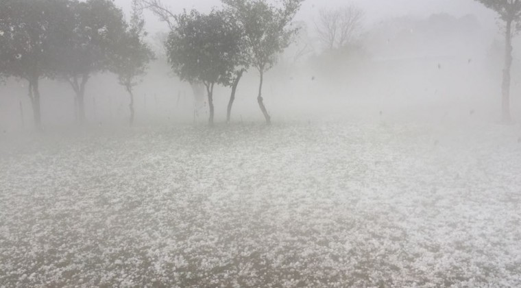 VIDEO | Intensa tormenta con caída de granizos