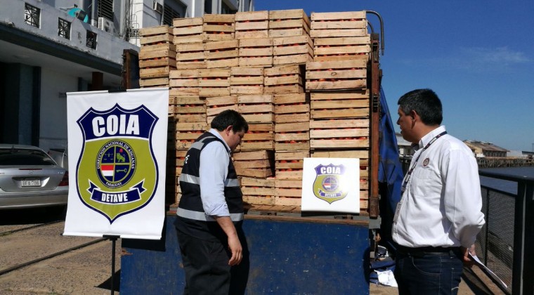 Tomates no aptos para el consumo humano ingresan del lado brasileño