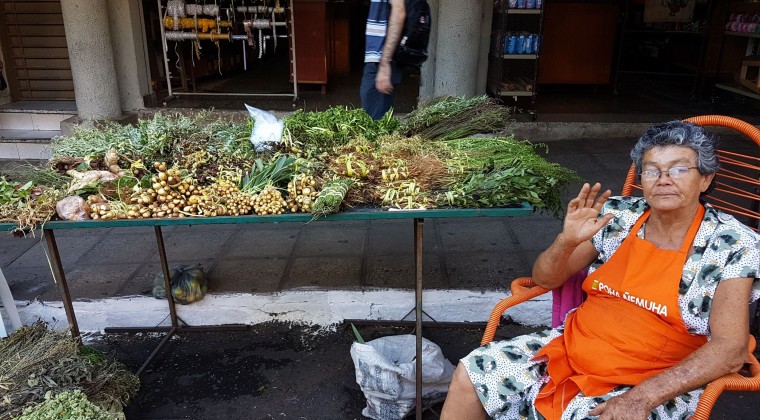 Hoja de mamón para subir las defensas, recomiendan