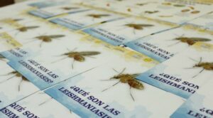 Casos de leishmaniasis son atendidos en centros de referencia
