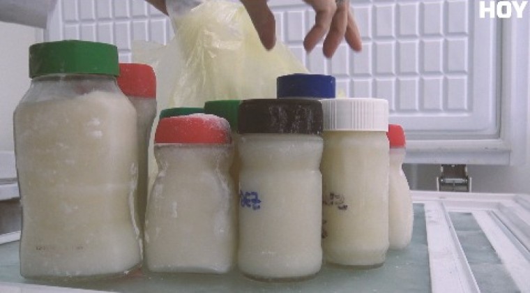 Con un litro de leche materna donada se puede alimentar hasta a ocho recién nacidos