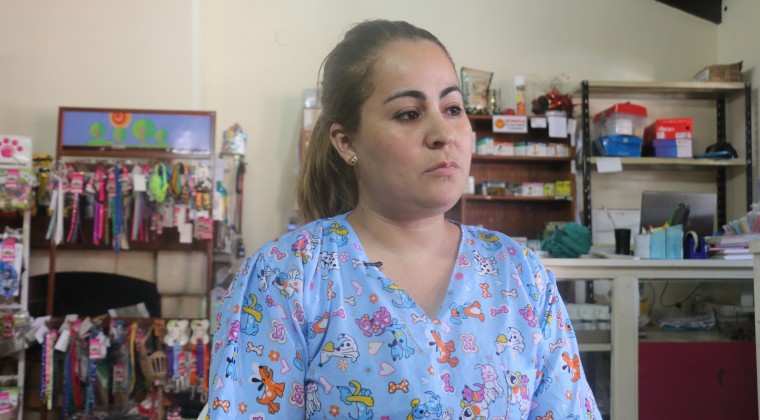 Qué tener en cuenta a la hora de llevar a las mascotas a una veterinaria