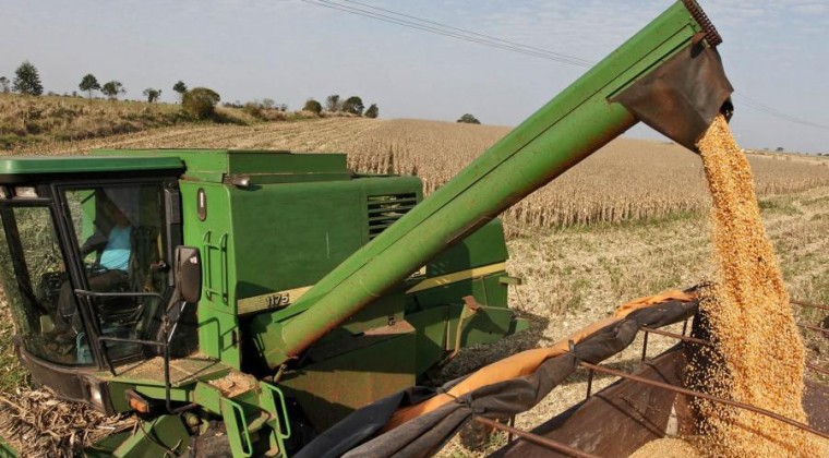 Producción de soja sufrirá ‘bajón’ en 2019 por falta de lluvias: pérdidas alcanzarían US$ 660 millones