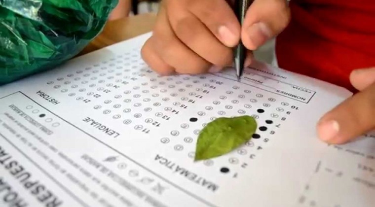 Respuestas de exámenes de ingreso a 100 mil: denuncian a alumnas y decano de Filosofía