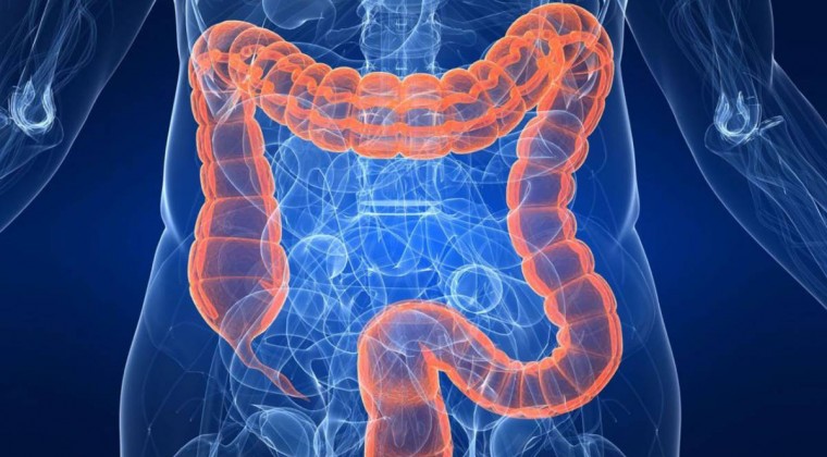 Hidrocolonoterapia, la moda que ofrece limpiar el colon: el daño es irreversible, alerta especialista