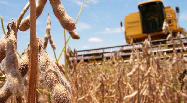 Sequía golpeó fuerte a la soja y se perderán US$ 1.100 millones en divisas