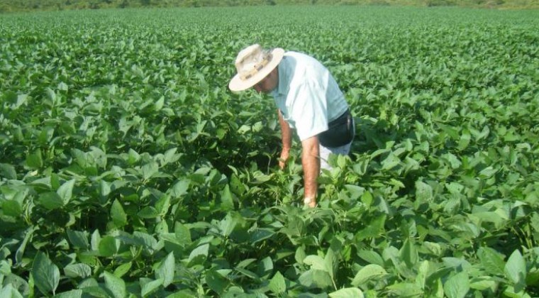 Crédito Agrícola: el 95 % paga sus deudas, pese a desaceleración económica