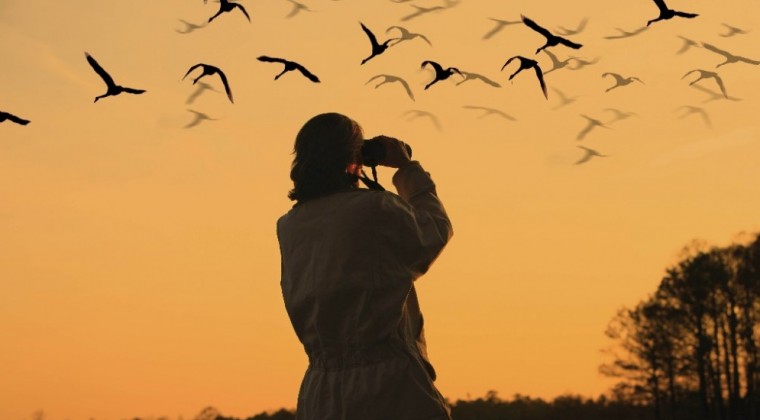 Paraguay será sede de turismo mundial de observación de aves en el 2022