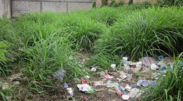 Presentan proyecto para encarcelar a dueños de terrenos baldíos que no eliminen criaderos