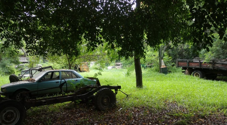 Dengue en Luque: Fiscalía intervino predio de grandes dimensiones atestado de criaderos en chatarras y basura