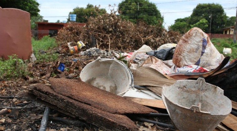 Llamadas contra criadores del mosquito: 911 ya recibió cerca de 1.000 denuncias