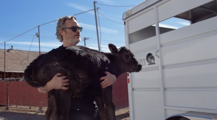 Joaquín Phoenix rescató a una vaca y a su cría tras ganar el Óscar