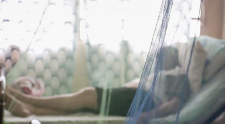 Fallecimiento de una mujer eleva a tres las muertes por dengue en Argentina