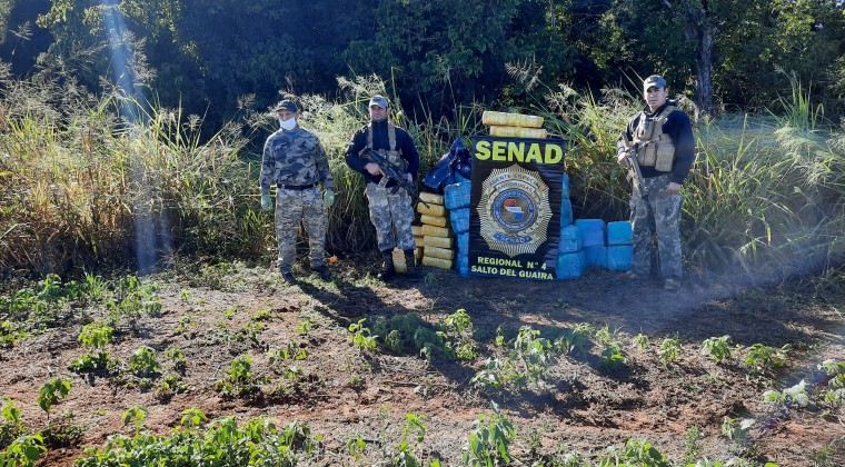 Reserva Morombí: Senad incautó 1,4 toneladas de marihuana