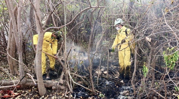 Emergencia Nacional coopera con Bomberos para sofocar incendios