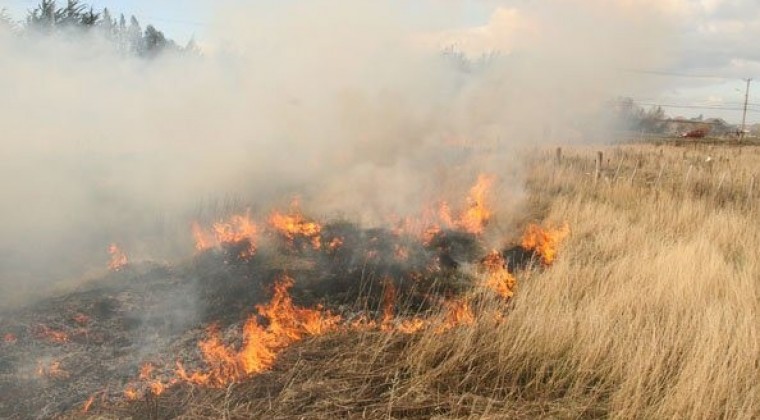 Habilitan número de WhatsApp para denunciar quemas ilegales que se producen en Asunción