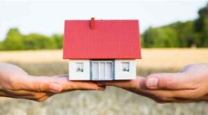 Roomies Paraguay, la comunidad para encontrar vivienda compartida