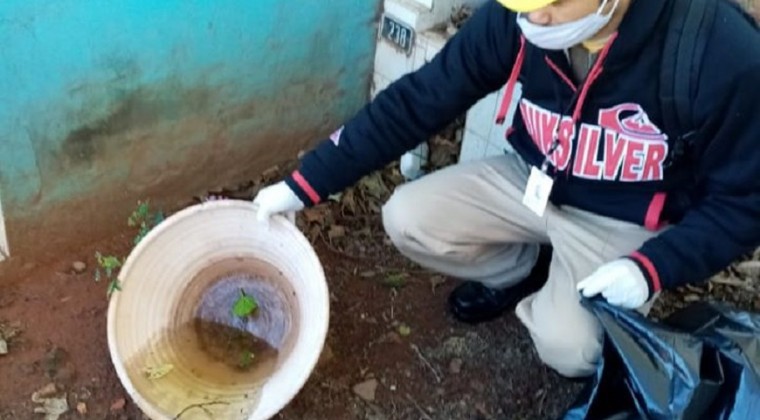 Dengue latente: 95 por ciento de las regiones notifica casos