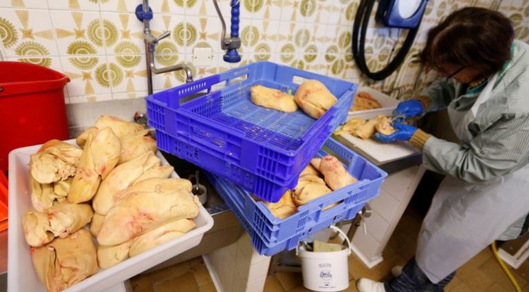 Francia confirma un grave brote de gripe aviar en una granja de patos