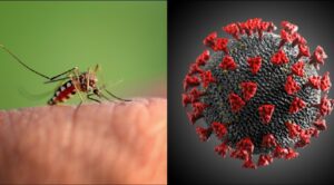 Dengue y COVID-19: signos de alarma y recomendaciones