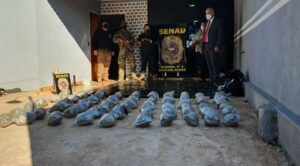 Incautan más de 300 kilos de marihuana en vivienda de Salto del Guairá