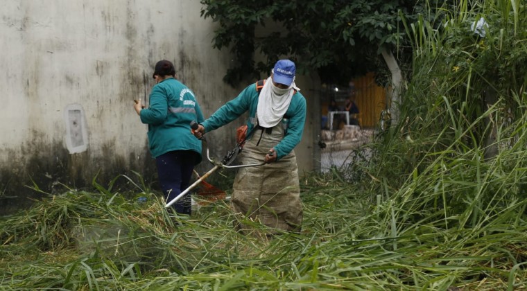 Lucha contra el dengue: intervienen patios baldíos en Asunción