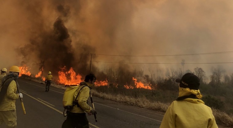 Más de 2.600 focos de calor fueron detectados en las últimas 24 horas