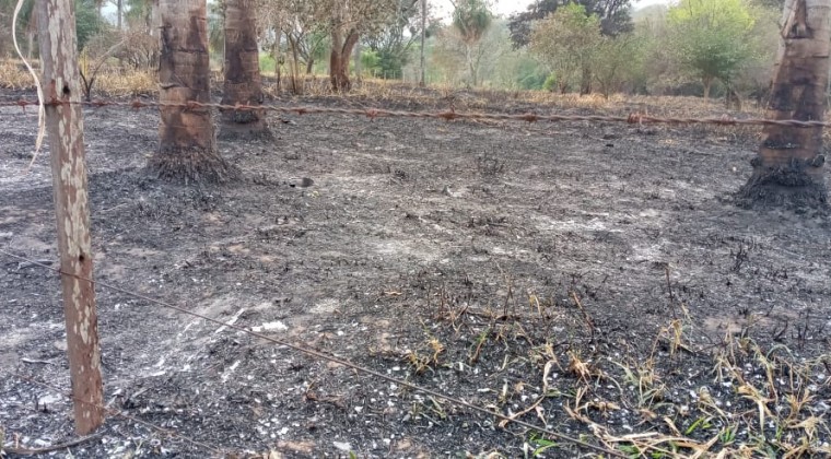Incendio afectó a 10 hectáreas de la Reserva del Ybytyruzú