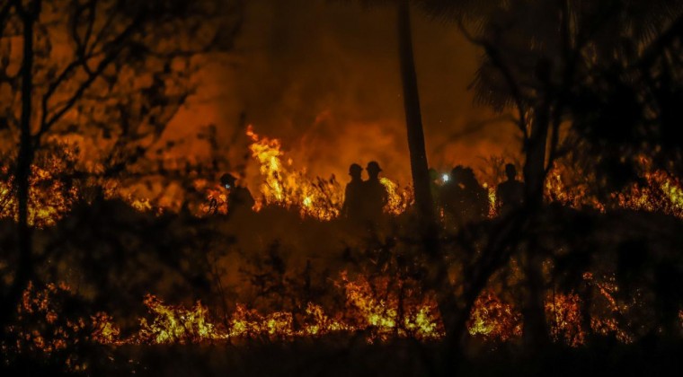 MADES pide denunciar quema de pastizales y basuras ante Municipios