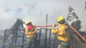 Incontrolable incendio en el bañado sur