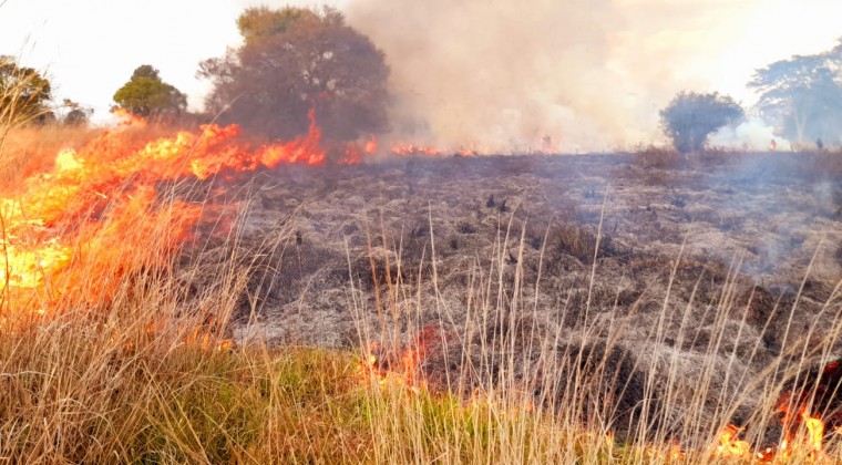 Reportan múltiples focos de incendio a nivel país: SEN ya alista un plan de contingencia